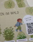 Lehrmittel Wald 1.–4. Klasse | NMG Unterrichtsmaterial