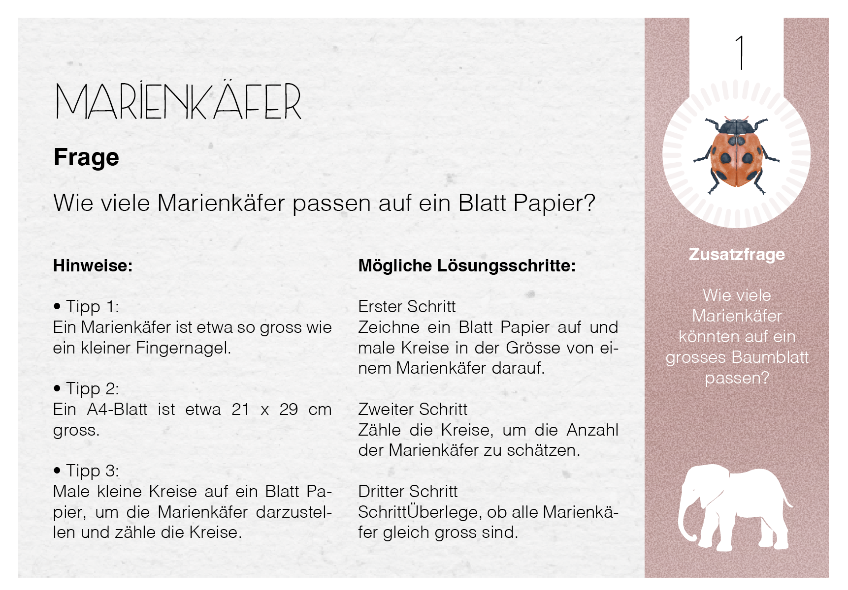Fermi-Aufgabenset | Mathematik