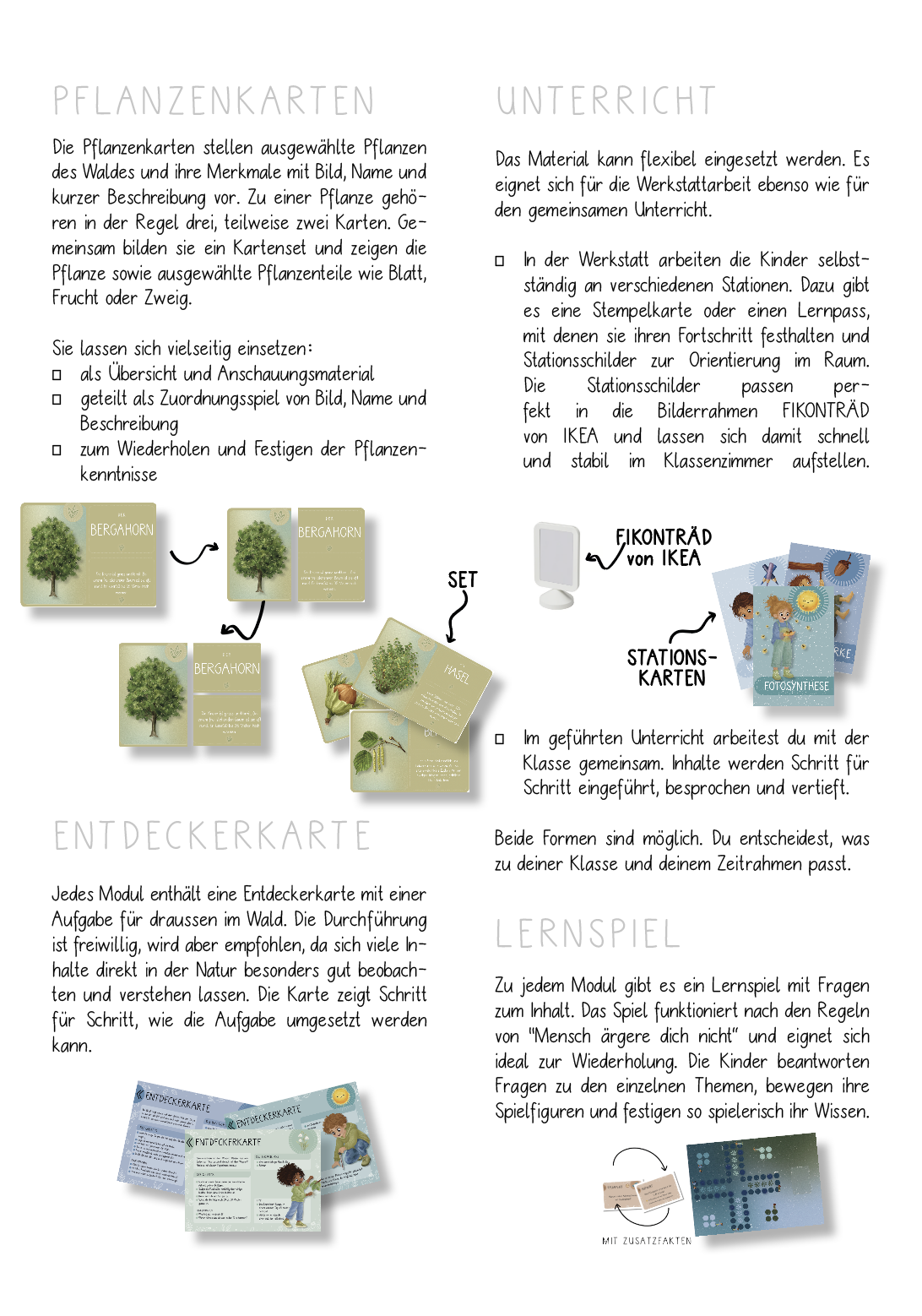 Lehrmittel Wald 1.–4. Klasse | NMG Unterrichtsmaterial